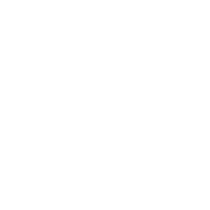 Mr Paws