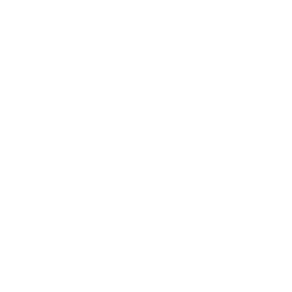 Mr Paws Dog Grooming